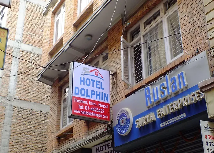 Dolphin * 加德满都